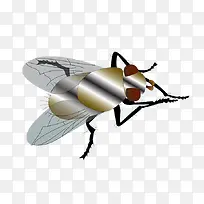 蚊子苍蝇素材-空若网 蚊子苍蝇素材-空若网