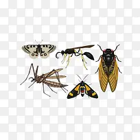 ��������-������