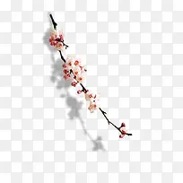 梅花-空若网 梅花-空若网