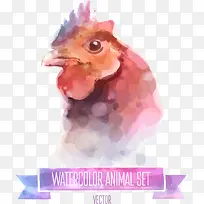 矢量彩绘鸡头-空若网 矢量彩绘鸡头-空若网