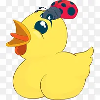 ¿¨Í¨Ð¡¼¦Í·ÉÏÓÐÀ¥³æÊ¸Á¿-¿ÕÈôÍø ¿¨Í¨Ð¡¼¦Í·ÉÏÓÐÀ¥³æÊ¸Á¿-¿ÕÈôÍø