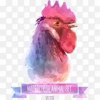 矢量彩绘鸡头-空若网 矢量彩绘鸡头-空若网