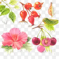 �߲˱���-������