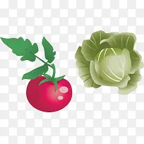 唯美蔬菜-空若网 唯美蔬菜-空若网