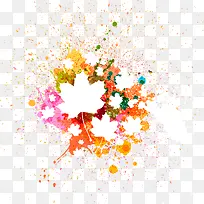 ʸÁ¿Ë®²ÊºÍÒ¶×Ó-¿ÕÈôÍø ʸÁ¿Ë®²ÊºÍÒ¶×Ó-¿ÕÈôÍø