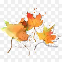 水彩枫叶-空若网 水彩枫叶-空若网