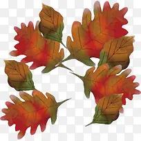 ˮ�ʷ�Ҷ����-������