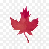 手绘水彩枫叶-空若网 手绘水彩枫叶-空若网