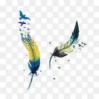 ��ͨˮ����ë-������