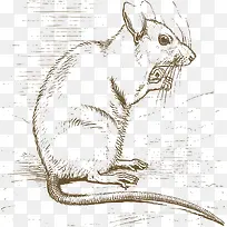 手绘白色矢量细毛老鼠-空若网 手绘白色矢量细毛老鼠-空若网