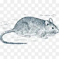 手绘矢量卡通老鼠-空若网 手绘矢量卡通老鼠-空若网