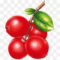 ˮ�����ؽ���������-������-������