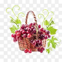 一篮子水果-空若网 一篮子水果-空若网