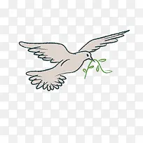 手绘鸽子设计素材-空若网 手绘鸽子设计素材-空若网