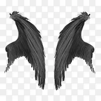 手绘黑色羽毛翅膀-空若网 手绘黑色羽毛翅膀-空若网