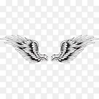 �ڰ׽����ʸ������-������