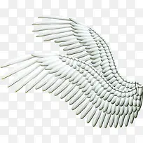 天使的翅膀-空若网 天使的翅膀-空若网