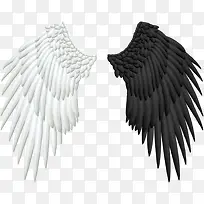 黑白翅膀-空若网 黑白翅膀-空若网