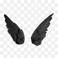 天使翅膀-空若网 天使翅膀-空若网