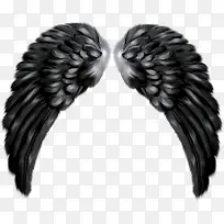 堕落天使的翅膀-空若网 堕落天使的翅膀-空若网