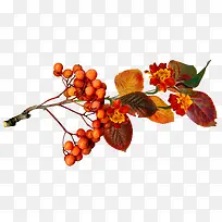 ��ɫ�Ĺ���-������