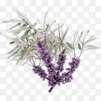 ��ɫ����-������