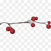 红色果子-空若网 红色果子-空若网