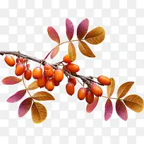 �＾�Ĺ���-������