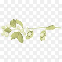 白果果子-空若网 白果果子-空若网