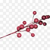 ��ɫ����-������