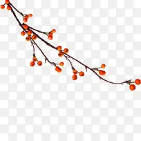 树枝上的红色果实-空若网 树枝上的红色果实-空若网