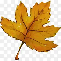 ˮ��ʸ���＾��Ҷ-������