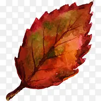 水彩矢量秋季落叶-空若网 水彩矢量秋季落叶-空若网