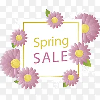 紫色春菊春季促销-空若网 紫色春菊春季促销-空若网