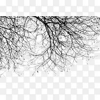 ¸É¿ÝµÄÊ÷Ö¦-¿ÕÈôÍø ¸É¿ÝµÄÊ÷Ö¦-¿ÕÈôÍø