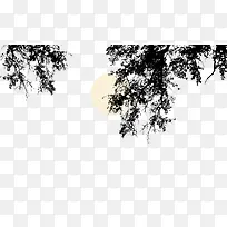 黑白树枝树叶特写剪影月亮-空若网 黑白树枝树叶特写剪影月亮-空若网