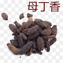 母丁香摄影-空若网 母丁香摄影-空若网