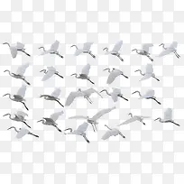 �ɺ׷ɺ��ز�-������