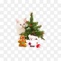 ʥ����Ԫ��-������