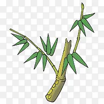 ��Ҷ�ز����� ����-������