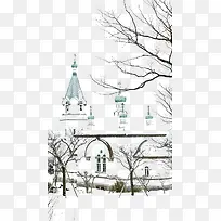 古树树枝-空若网 古树树枝-空若网