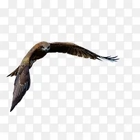 ����-������