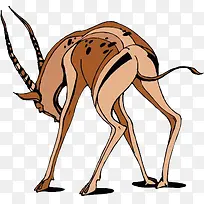 羚羊-空若网 羚羊-空若网