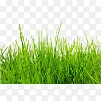 ����ز�С��ͼƬ-������