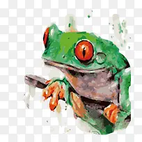 手绘青蛙-空若网 手绘青蛙-空若网