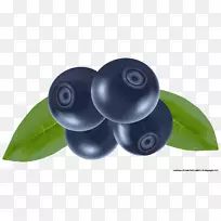 蓝莓果奥格里斯剪贴画-蓝莓-空若网 蓝莓果奥格里斯剪贴画-蓝莓-空若网