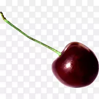 ��ӣ�Ҽ�����-ӣ��-������