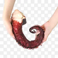 手拿章鱼腿-空若网 手拿章鱼腿-空若网