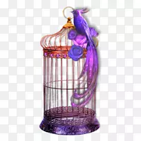 紫装饰鸟-空若网 紫装饰鸟-空若网