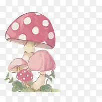 ʸ���ֻ�СĢ��-������